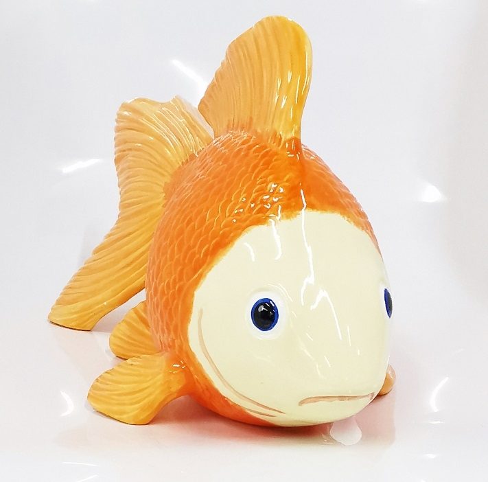 Fancy Goldfish