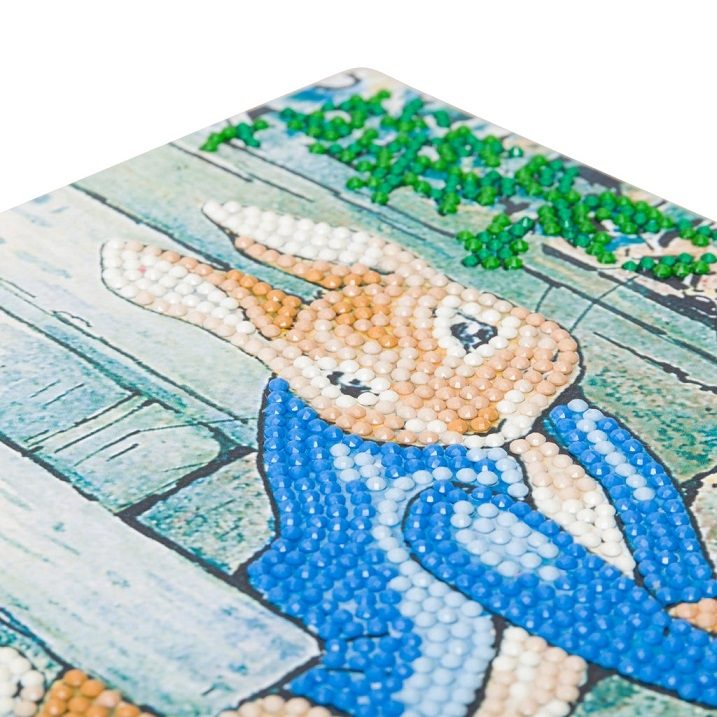 Peter Rabbit 'Under the Fence' 18x18cm Crystal Art Card Kit