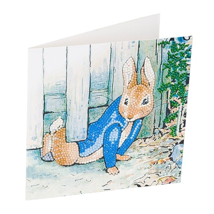 Peter Rabbit 'Under the Fence' 18x18cm Crystal Art Card Kit