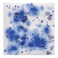 Wispy Blue - Cromartie Crystal Glaze