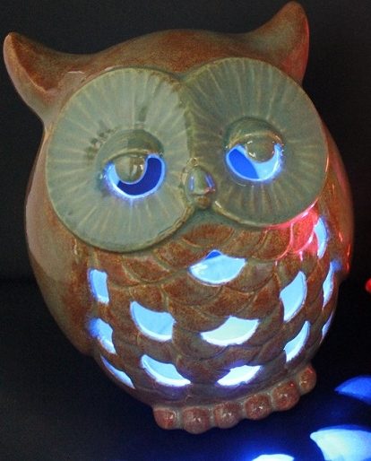 5143 Owl Lantern with Blue LEDs
