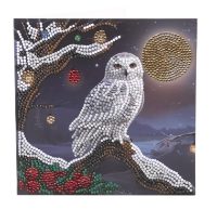 Frosted Moon- Crystal Art Card Kit 18cm