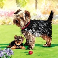 Yorkshire Terrier Dogs- Crystal Art Card 5D Diamond Painting Kit