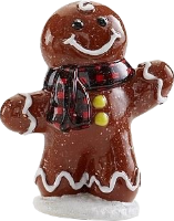 Gingerbread Man Party Animal