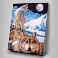 CAK-CH2 The Sentinel Wolves - Claudia Hahn 40 x 50cm Crystal Art Canvas Kit (X-Large)