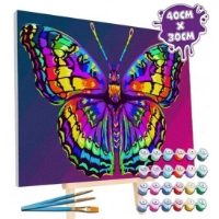 Butterfly Paint by Numbers Canvas 40 x 30cm