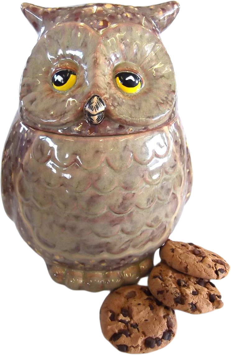 Owl Cookie Jar 15.9cm w x 20.9cm h