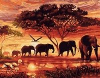 Elephants in Sunset - Paint By Numbers Frames 40x50cm