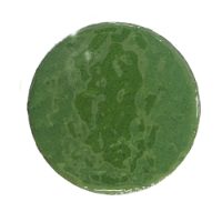 Fir Green Lead Free Enamel Powder 50g (Opaque)