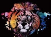 Lion - Scratch Painting