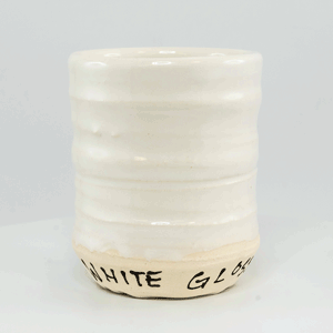 White Gloss- C6 Pro Series (25lb Dry)