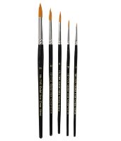 Paint Brushes (5pc) Multi Purpose