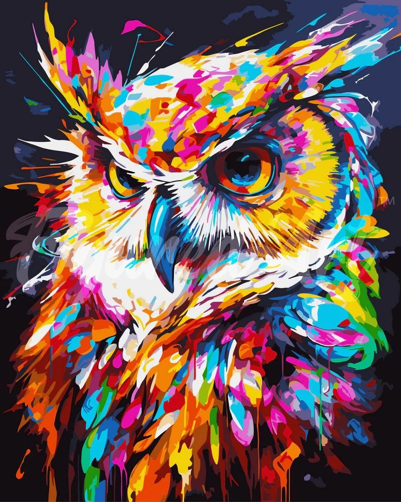 Colourful Owl - Paint by Numbers Framed 40x50cm
