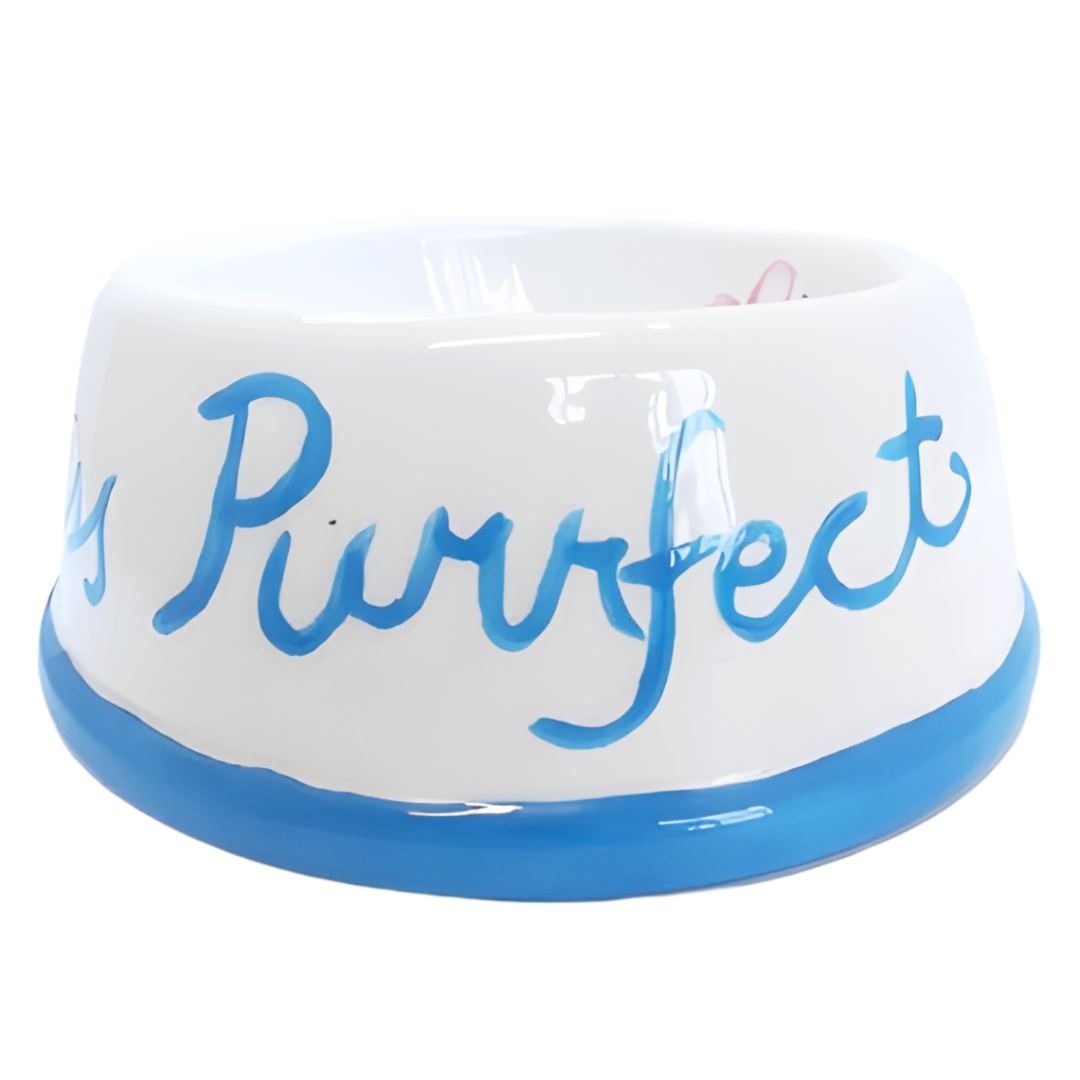 2054 Pet Bowl Small- Painted Bisqueware PYOP