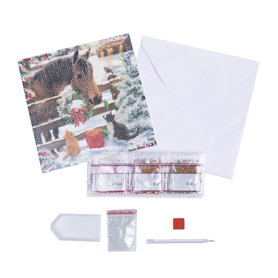 Christmas Friendship - Crystal Art Card Kit 18 x 18cm