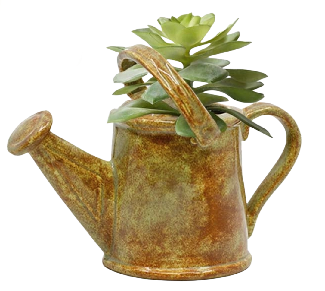 5379 Watering Can Planter painted with succulents bisqueware