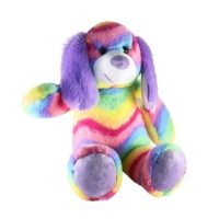 Raya the Rainbow Dog- TeddyTastic Build your Own Bear