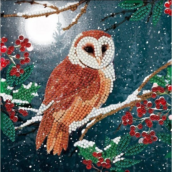 CCK-A65 Barn Owl Crystal Art Card Kit