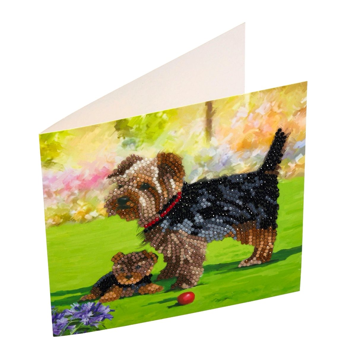 Yorkshire Terrier Dogs- Crystal Art Card 5D Diamond Painting Kit