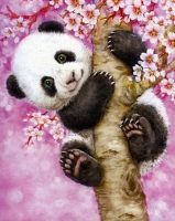 Baby Panda - Paint By Numbers Framesd 40x50cm
