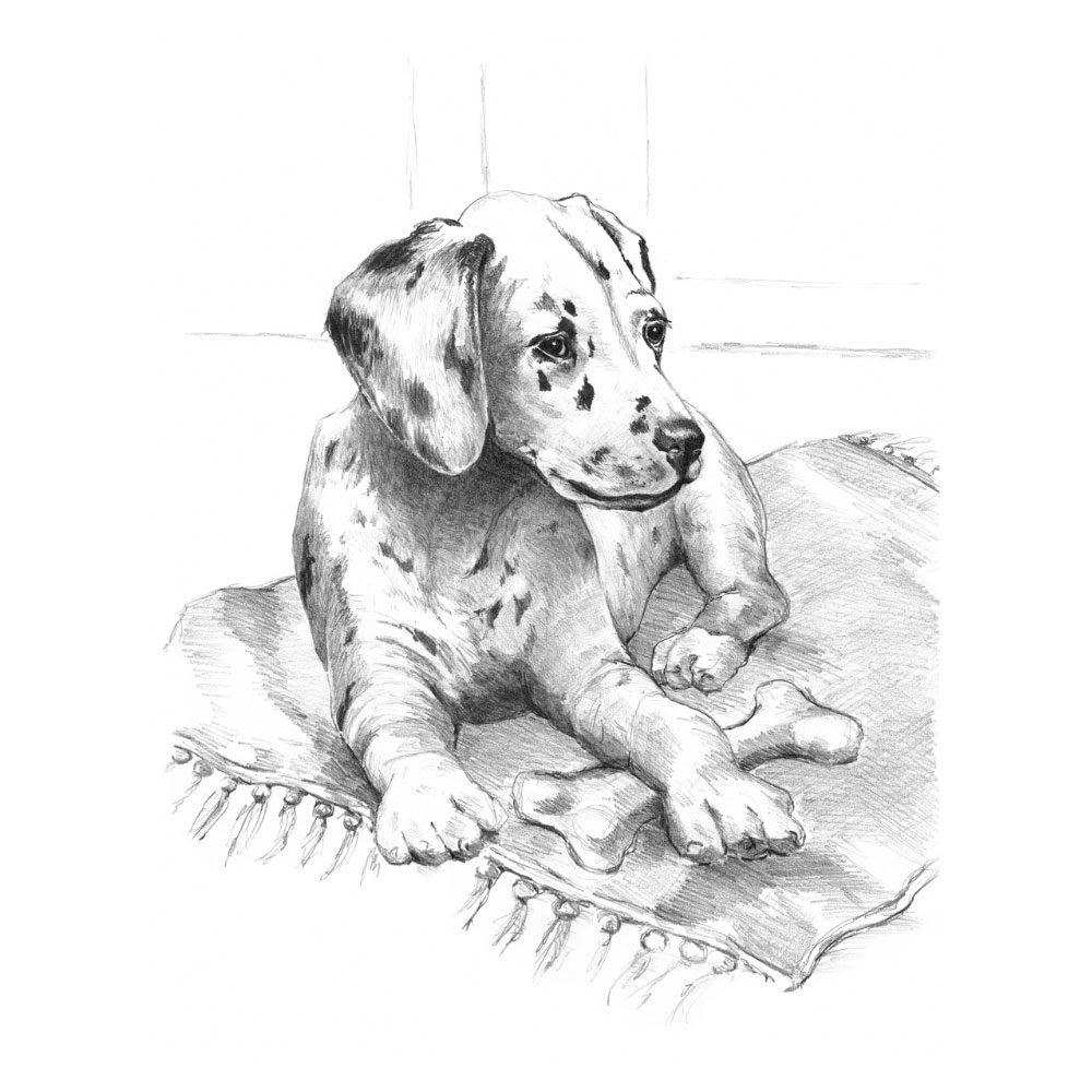 Dalmation Pup - Sketching Made Easy Kit