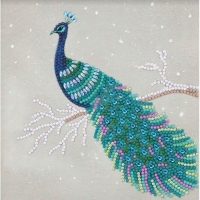 CCK-A67 Pretty Peacock Crystal Art Card Kit