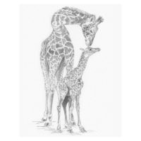 Giraffe & Baby - Sketching Made Easy