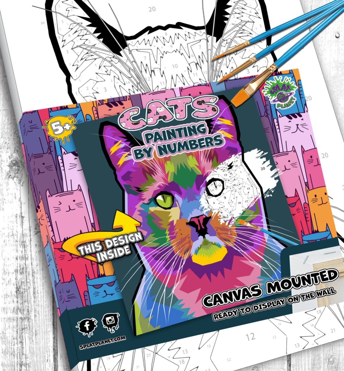 Cat Paint By Number Canvas Splat Planet Set Unfinished Paints Package