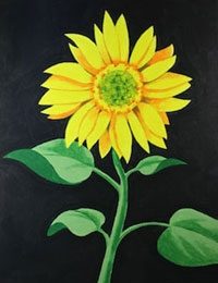Sunflower 1- Canvas Design Pattern Pack